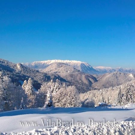 Vila Brad Предял Екстер'єр фото
