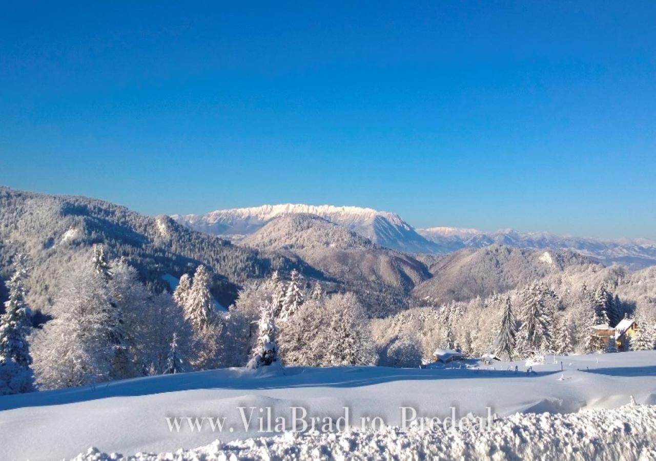 Vila Brad Предял Екстер'єр фото